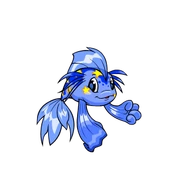 Koi Starry.png (21 KB) Starry