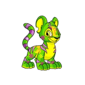 Kougra