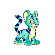 Kougra