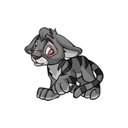 Kougra
