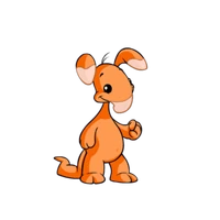 Orange blumaroo