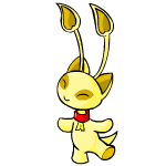 Aishas