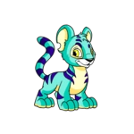 Kougra.png (13 KB) Blue