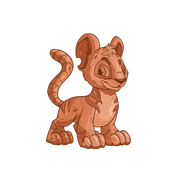 Kougra