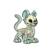 Transparent kougra.png (39 KB) Transparent