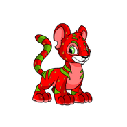 Kougra