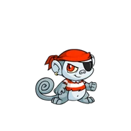 Mynci pirate.png (25 KB) Pirate