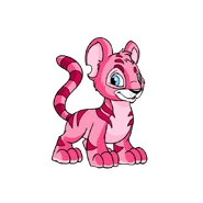Kougra pink.png (87 KB) Pink