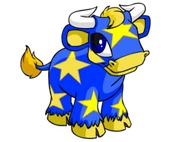 Starry kau cropped.png (35 KB) Kau