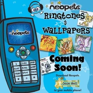 Netsize 051805.jpg (118 KB) An advertisement for the service