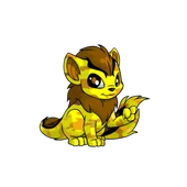 Camouflage Xweetok.png (32 KB) Xweetok