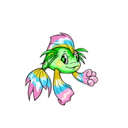 DiscoKoi.png (36 KB) Disco