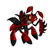 Ruki