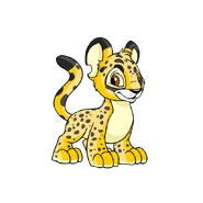 Kougra spotted.png (88 KB) Spotted