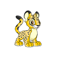 Kougra