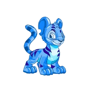 Jelly Kougra.png (110 KB) Jelly