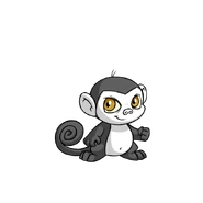 SkunkMynci.png (47 KB) Skunk