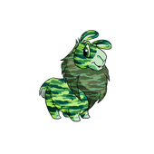 Camouflage Gnorbu.png (26 KB) Gnorbu