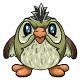Pawkeet