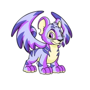 Faerie Kougra.png (47 KB) Faerie