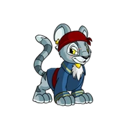 Kougra pirate.png (37 KB) Pirate