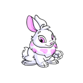 Cybunny white