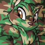 Camowocky