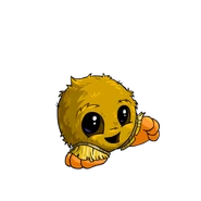 Jubjub coconut.png (18 KB) Coconut