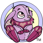 Neopets Wiki