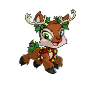 Ixi (Festive)