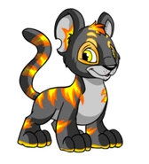 Fire Kougra.png (30 KB) Fire
