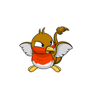 Pteri