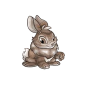 898.png (47 KB) Cybunny