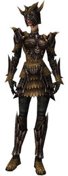 Armure de dragon d'élite-Guerrier-Femme