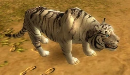 Tigre blanc