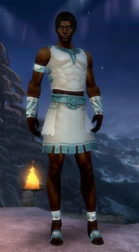 Armure istani-Parangon-Homme