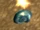 Carapace de Lune