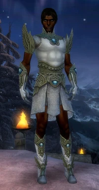 Armure du Monument-Parangon-Homme