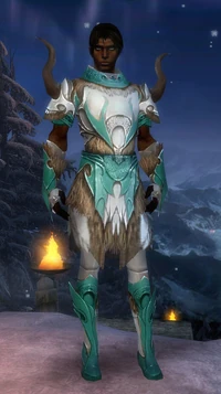 Armure de Norn-Parangon-Homme