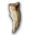 Croc monstrueux