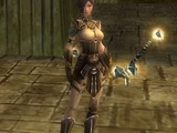 Acolyte Jin