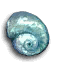 Moon Shell.png