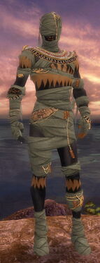 Ritualist Ancient Armor M gray front