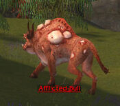 Afflicted Bull