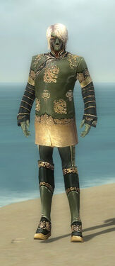 Mesmer Elite Canthan Armor M gray front