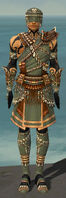 Ritualist Imperial Armor M gray front.jpg