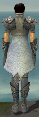 Elementalist Stoneforged Armor M gray back