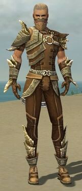 Ranger Asuran Armor M gray front