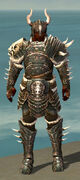Warrior Norn Armor M gray front.jpg