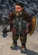 Dwarven Soldier